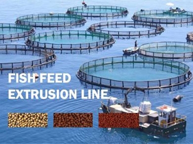 Линия по производству рыбных кормов